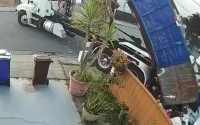 O tonă de gunoi aruncată în curte pentru o datorie de 700 de dolari