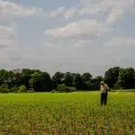 Fermierii americani, la limita supraviețuirii - prețul motorinei a explodat cu 60%