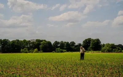 Fermierii americani, la limita supraviețuirii – prețul motorinei a explodat cu 60%