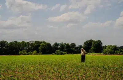 Fermierii americani, la limita supraviețuirii – prețul motorinei a explodat cu 60%