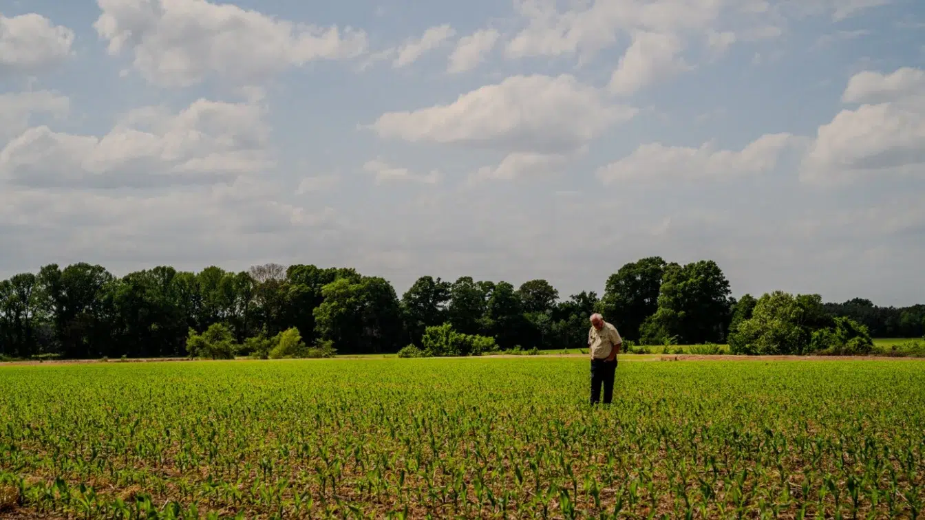 Fermierii americani, la limita supraviețuirii – prețul motorinei a explodat cu 60%