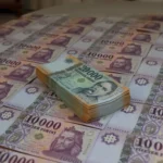 Fundațiile UDMR au primit peste 46,5 milioane de euro de la Budapesta