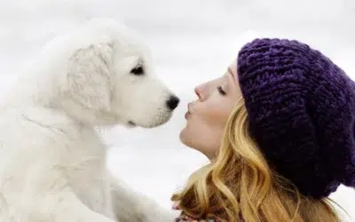 Primeşti un salariu de 60.000 de lire și casă gratuită să fii un însoțitor de câine în Londra