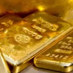 Comoara de 40.000 de euro găsită în iarbă ajunge la primăria din Germania