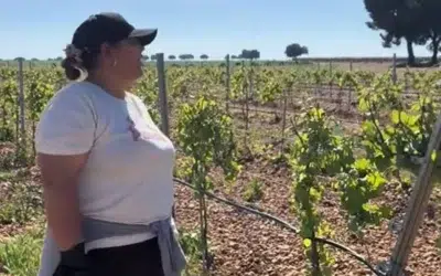 O româncă din Spania oferă 12,50 euro pe oră pentru munca la vița de vie