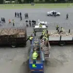 Peste 25.000 de oi din România, ajung în Algeria pentru sacrificiu cu 325 de euro bucata