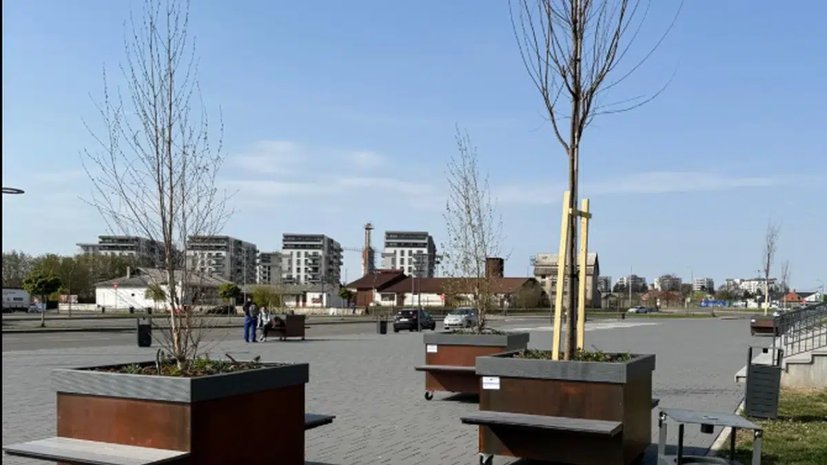 padure mobila Oradea
