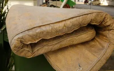 O pensionară din Italia și-a recuperat 50.000 de euro dintr-o saltea aruncată la gunoi