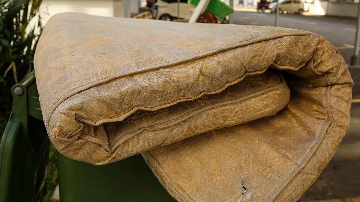 pensionara saltea bani