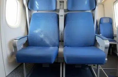 CFR cheltuie 1,2 milioane lei pe curățenie dar ploșnițele invadează trenul Timișoara-Arad