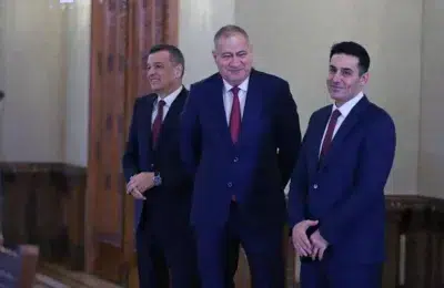 Cum se analizează parcursul partidului PSD în România?8