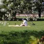 Cum va arăta vremea de 1 Mai și unde va ploua în următoarele patru săptămâni?