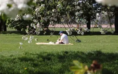 Cum va arăta vremea de 1 Mai și unde va ploua în următoarele patru săptămâni?