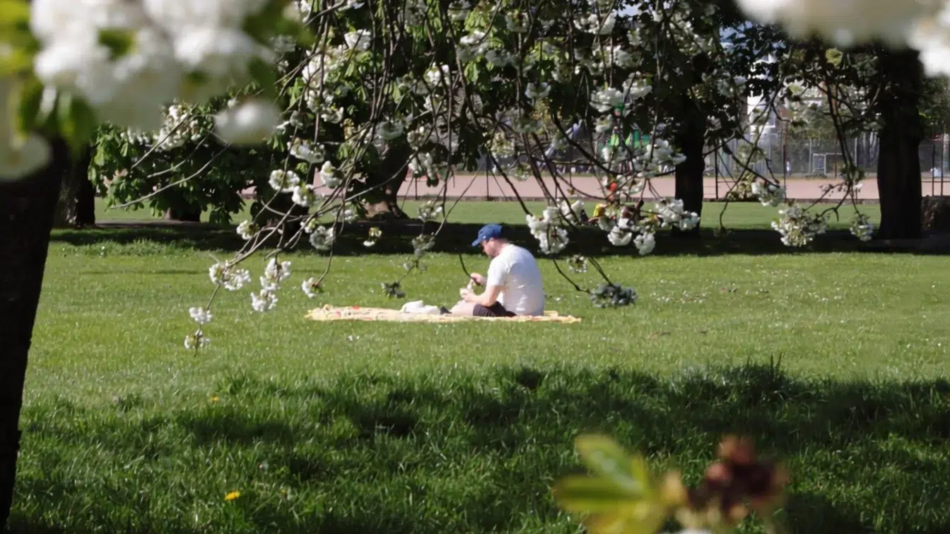 Cum va arăta vremea de 1 Mai și unde va ploua în următoarele patru săptămâni?