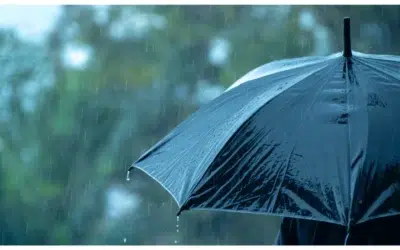 Prognoza ANM pentru 1 Mai aduce temperaturi sub normal și ploi în sud-est