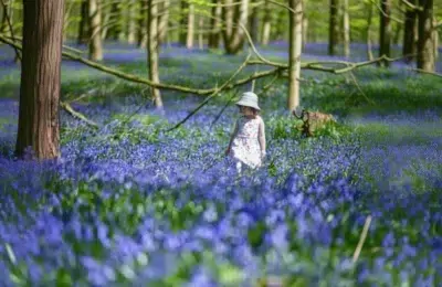 Cum arată prognoza meteo pentru următoarele 4 săptămâni?