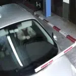 Doi români de 21 și 22 de ani și-au furat mașina din depozitul poliției spaniole