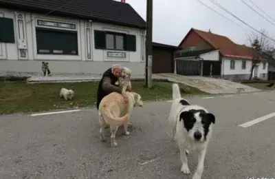 Satele „pemilor” din Semenic mai au doar 100 de locuitori permanenți