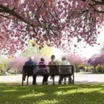 Sistemul de pensii se află sub o mare presiune, 5 milioane de salariați susțin 4,68 milioane de pensionari