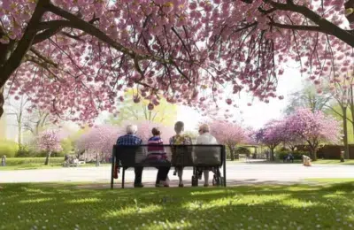 Sistemul de pensii se află sub o mare presiune, 5 milioane de salariați susțin 4,68 milioane de pensionari