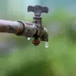 Un studiu leagă substanțele chimice eterne de leucemia la copii