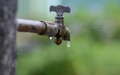 Un studiu leagă substanțele chimice eterne de leucemia la copii