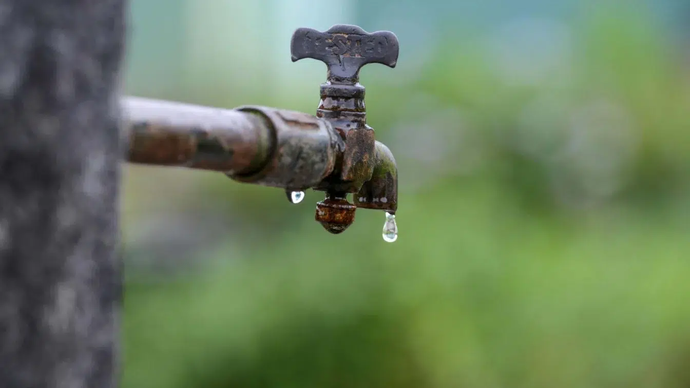 Un studiu leagă substanțele chimice eterne de leucemia la copii