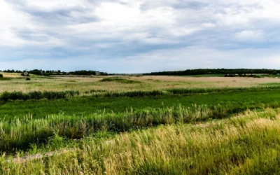 Un fermier a plătit 12.000 de euro pe un hectar de teren agricol în Ilfov