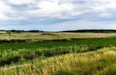 Un fermier a plătit 12.000 de euro pe un hectar de teren agricol în Ilfov