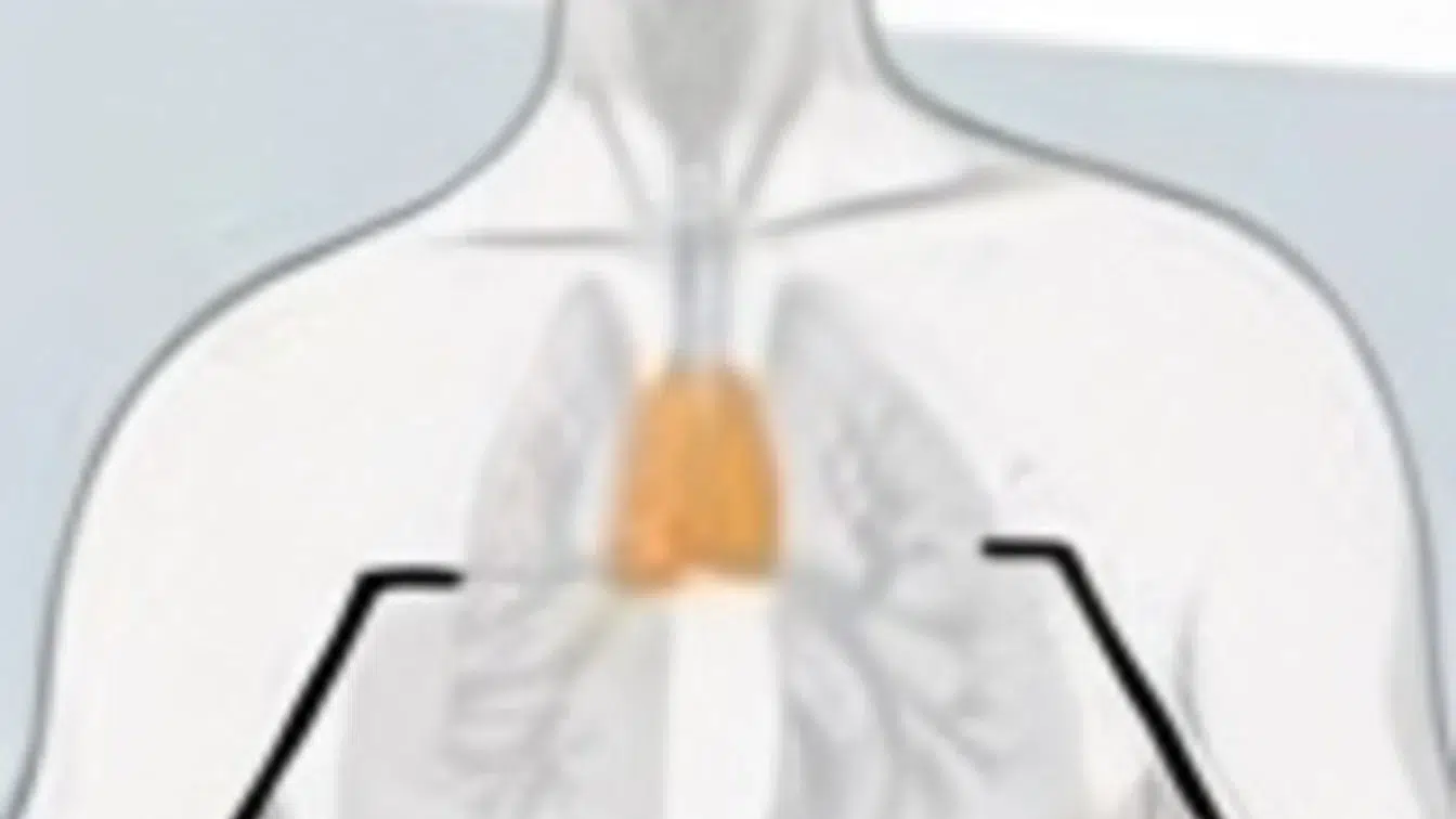 Organul uitat care reduce riscul de deces cu 50% ar putea fi cheia longevității