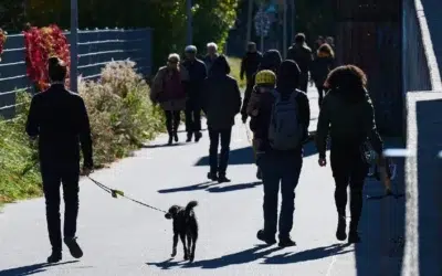 Statul a atras 1,9 miliarde de lei de la aproape 22.000 de români prin Fidelis