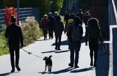 Statul a atras 1,9 miliarde de lei de la aproape 22.000 de români prin Fidelis