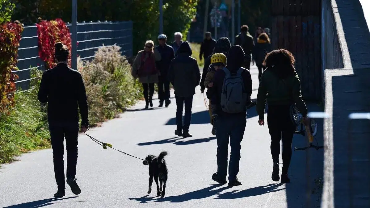 titluri de stat Fidelis