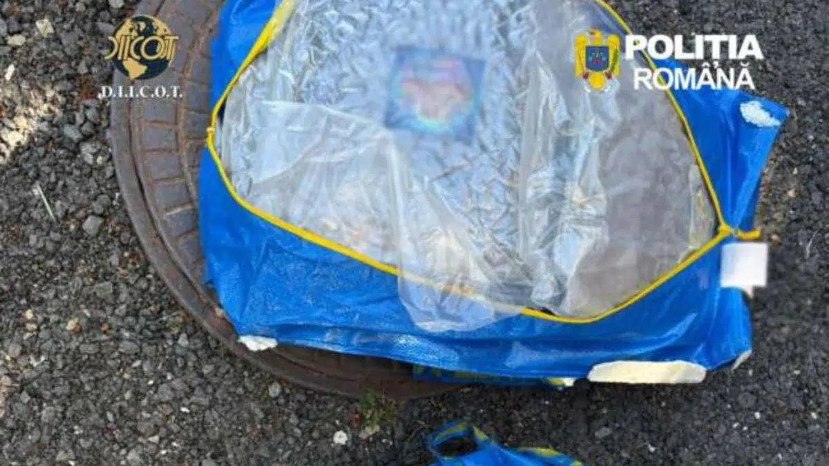 Un român a vândut o casă cu 30.000 de euro pentru a cumpăra 13 kg de canabis