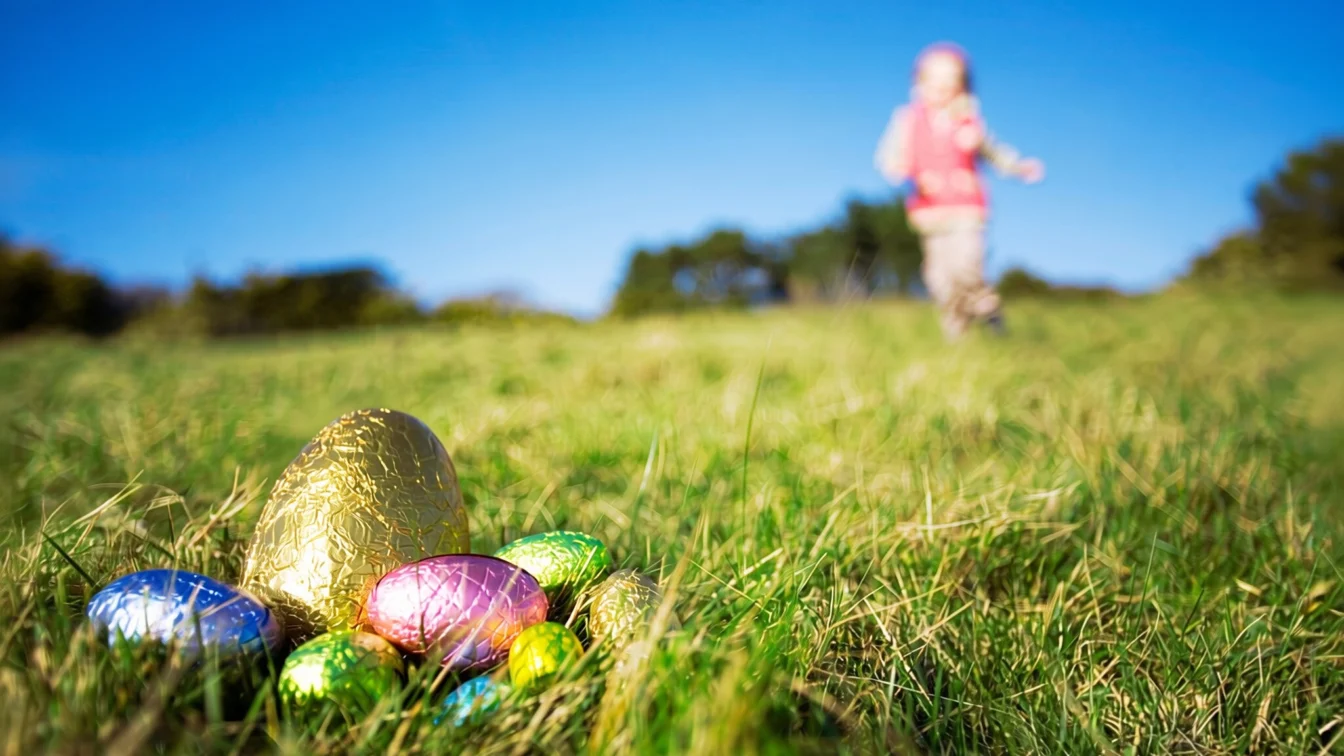 Trei morți în Germania, inclusiv un bebeluș de 10 luni, la o vânătoare de ouă de Paște