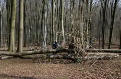 În tragedia din Germania au fost 3 morți, inclusiv un bebeluș, la o vânătoare de ouă de Paște