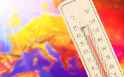 Val de caldura extrema in Europa. Zece tari emit avertizari iar Franta raporteaza primele victime