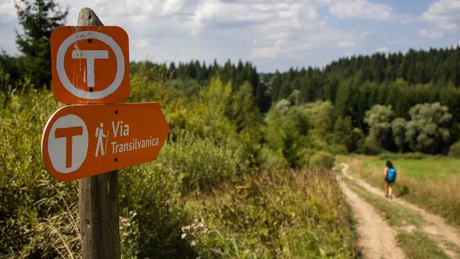 MedLife Via Transilvanica