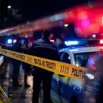 Copil de patru ani ucis de un câine ciobănesc în Buzău. Bunicul acuză lipsa gardului