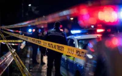 Copil de patru ani ucis de un câine ciobănesc în Buzău. Bunicul acuză lipsa gardului