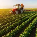 Primăria Drăgușeni vinde pășunea cu 1.148.776 lei. Un fermier pierde tractorul pentru rate neplătite