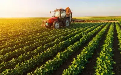 Primăria Drăgușeni vinde pășunea cu 1.148.776 lei. Un fermier pierde tractorul pentru rate neplătite