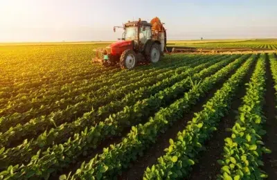 Primăria Drăgușeni vinde pășunea cu 1.148.776 lei. Un fermier pierde tractorul pentru rate neplătite