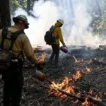 Serviciul Forestier al Statelor Unite a tăiat la jumătate suprafețele pe care se aplică arderi controlate