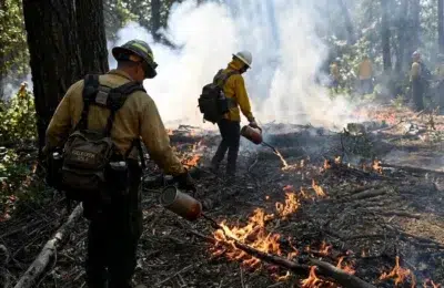 Serviciul Forestier al Statelor Unite a tăiat la jumătate suprafețele pe care se aplică arderi controlate