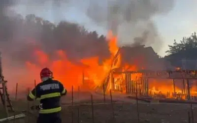 Flăcări uriașe pe strada Morii din localitatea Rebrișoara. Zeci de animale au pierit în foc