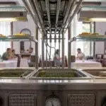 Surpriza uriasa pentru studenti. Tara europeana care ofera masa completa cu doar un euro