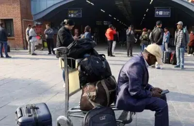 S-a aflat adevarul despre banii trimisi de diaspora. Cifrele care schimba complet economia