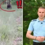 Bărbat din Vâlcea filmat când aleargă un urs cu lopata. Ce avertisment dă Jandarmeria