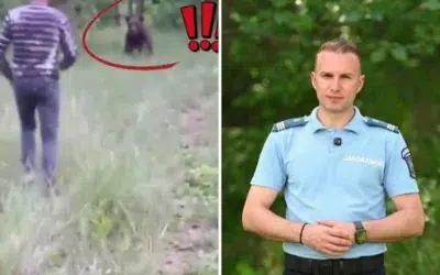 Bărbat din Vâlcea filmat când aleargă un urs cu lopata. Ce avertisment dă Jandarmeria
